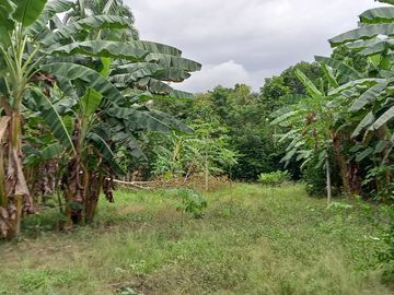 VENDO TERRENO Distrito Las Palmas - La Banda De Shilcayo / Tarapoto