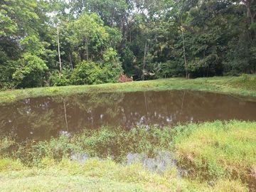 VENTA FINCA VEREDA SANTA PAULA SAN MARTIN CESAR