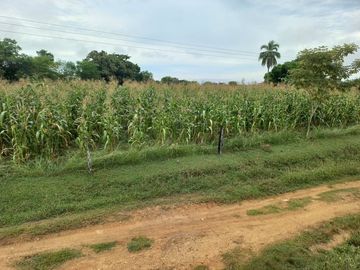 VENTA FINCA VEREDA SANTA PAULA SAN MARTIN CESAR