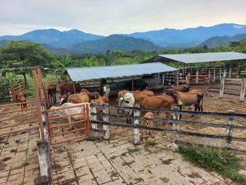 VENTA FINCA VEREDA SANTA PAULA SAN MARTIN CESAR