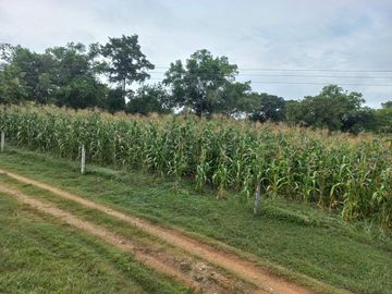 VENTA FINCA VEREDA SANTA PAULA SAN MARTIN CESAR