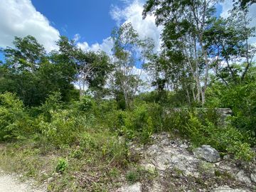 Terreno con potencial turístico en Venta, Macario Gómez, Tulum