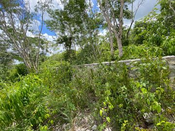 Terreno con potencial turístico en Venta, Macario Gómez, Tulum