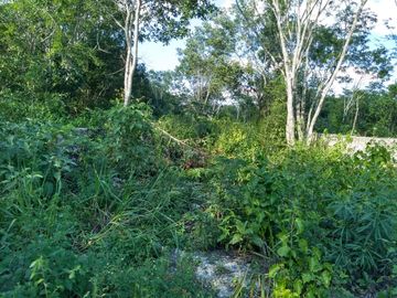 Terreno con potencial turístico en Venta, Macario Gómez, Tulum