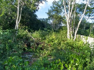 Terreno con potencial turístico en Venta, Macario Gómez, Tulum