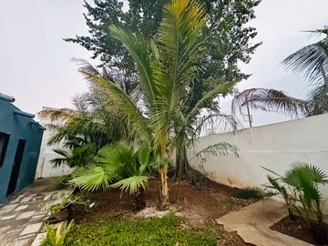 Casa en Venta en el centro de Mérida Yucatán , ideal para remodelar o negocio