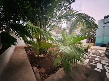Casa en Venta en el centro de Mérida Yucatán , ideal para remodelar o negocio