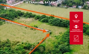 Prime 2.5 Hectare Commercial, Industrial Vacant Lot for Sale in Tanauan, Batangas near Toll Exit and SLEX