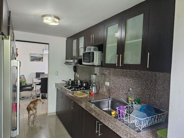 Venta de departamento con Vista Panorámica desde un cerro de 80 metros junto al Colegio San José frente a la urbanización Álamos Norte en Guayaquilegi