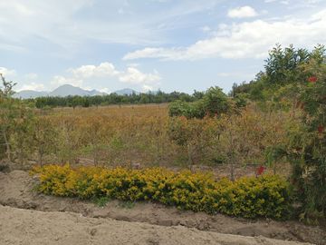 Venta de Terreno en Malchingui