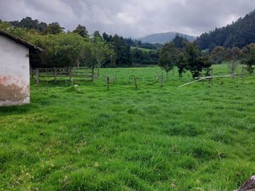 OPORTUNIDAD SE VENDE ESTUPENDA HACIENDA GANADERA EN SANGOLQUI
