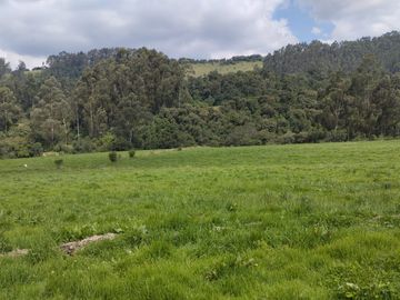 OPORTUNIDAD SE VENDE ESTUPENDA HACIENDA GANADERA EN SANGOLQUI
