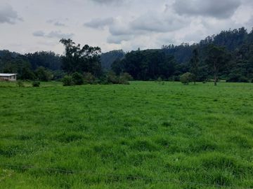 OPORTUNIDAD SE VENDE ESTUPENDA HACIENDA GANADERA EN SANGOLQUI
