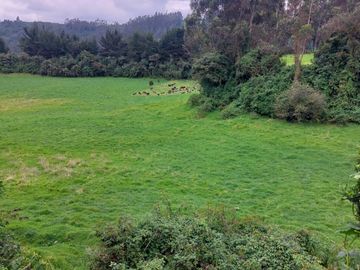 OPORTUNIDAD SE VENDE ESTUPENDA HACIENDA GANADERA EN SANGOLQUI