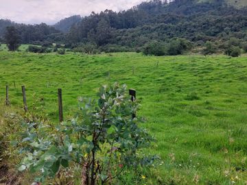 OPORTUNIDAD SE VENDE ESTUPENDA HACIENDA GANADERA EN SANGOLQUI