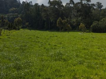 OPORTUNIDAD SE VENDE ESTUPENDA HACIENDA GANADERA EN SANGOLQUI
