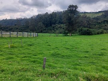OPORTUNIDAD SE VENDE ESTUPENDA HACIENDA GANADERA EN SANGOLQUI