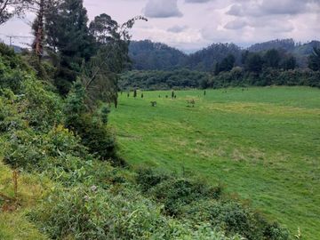 OPORTUNIDAD SE VENDE ESTUPENDA HACIENDA GANADERA EN SANGOLQUI