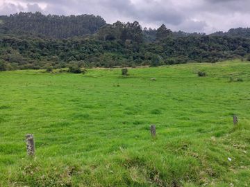 OPORTUNIDAD SE VENDE ESTUPENDA HACIENDA GANADERA EN SANGOLQUI