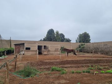 SE VENDE EXCELENTE TERRENO CAMPESTRE MUY BIEN UBICADO, CERCA DE LA AV. MANUEL VALLE EN PACHACAMAC