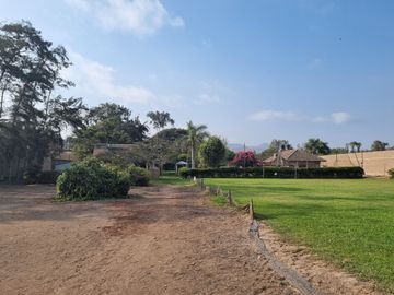 SE VENDE EXCELENTE TERRENO CAMPESTRE MUY BIEN UBICADO, CERCA DE LA AV. MANUEL VALLE EN PACHACAMAC