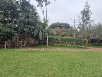 SE VENDE EXCELENTE TERRENO CAMPESTRE MUY BIEN UBICADO, CERCA DE LA AV. MANUEL VALLE EN PACHACAMAC