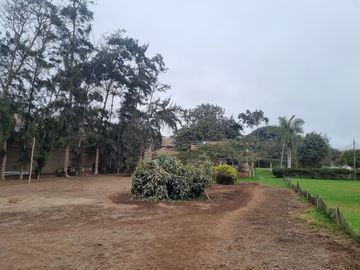 SE VENDE EXCELENTE TERRENO CAMPESTRE MUY BIEN UBICADO, CERCA DE LA AV. MANUEL VALLE EN PACHACAMAC