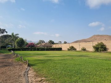 SE VENDE EXCELENTE TERRENO CAMPESTRE MUY BIEN UBICADO, CERCA DE LA AV. MANUEL VALLE EN PACHACAMAC