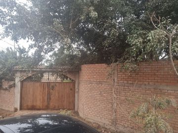 SE VENDE EXCELENTE TERRENO CAMPESTRE MUY BIEN UBICADO, CERCA DE LA AV. MANUEL VALLE EN PACHACAMAC