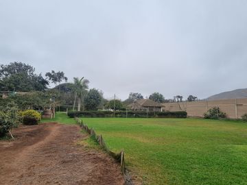 SE VENDE EXCELENTE TERRENO CAMPESTRE MUY BIEN UBICADO, CERCA DE LA AV. MANUEL VALLE EN PACHACAMAC