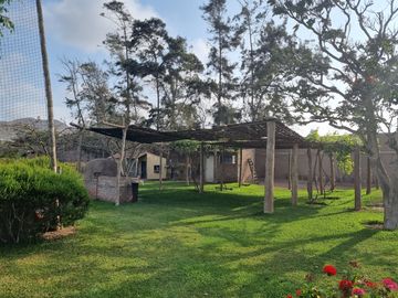 SE VENDE EXCELENTE TERRENO CAMPESTRE MUY BIEN UBICADO, CERCA DE LA AV. MANUEL VALLE EN PACHACAMAC
