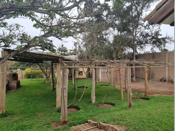 SE VENDE EXCELENTE TERRENO CAMPESTRE MUY BIEN UBICADO, CERCA DE LA AV. MANUEL VALLE EN PACHACAMAC