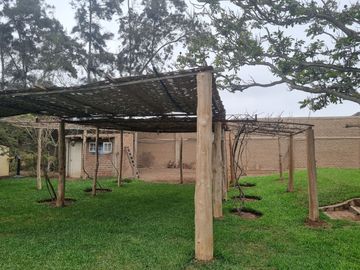 SE VENDE EXCELENTE TERRENO CAMPESTRE MUY BIEN UBICADO, CERCA DE LA AV. MANUEL VALLE EN PACHACAMAC