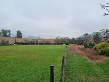 SE VENDE EXCELENTE TERRENO CAMPESTRE MUY BIEN UBICADO, CERCA DE LA AV. MANUEL VALLE EN PACHACAMAC