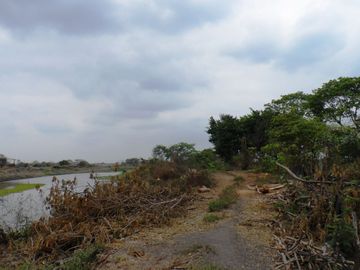 Venta de Terreno Industrial Alto Impacto Duran Tambo 47000 m² Pie de Via