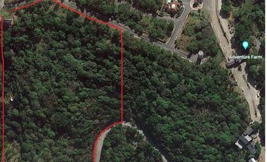 For Sale: 34,995 SQM Vacant Land in San Mateo, Rizal