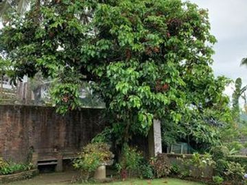 For Sale/for Lease: Overlooking Mansion in Tagaytay
