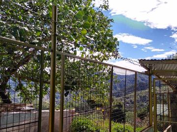 Bungalow House with 3 Studio Units for Sale in Itogon, Benguet