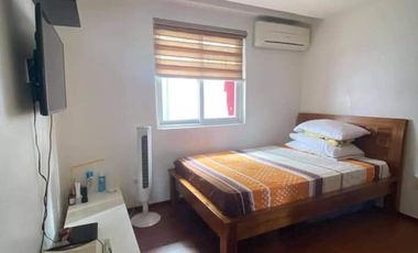Stunning 4 Bedroom Fully Furnished House and Lot For Sale at Don Jose Quezon City