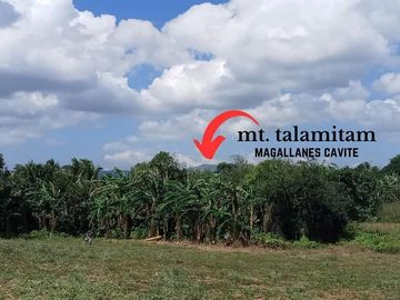 Affordable Pre-selling 996 sqm Farm Lot for sale in Magallanes Cavite