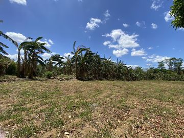 Affordable Pre-selling 996 sqm Farm Lot for sale in Magallanes Cavite