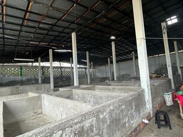 POSORJA A LADO DE NIRSA VENDO GALPON INDUSTRIAL PARA PROCESAMIENTO DE MARISCOS