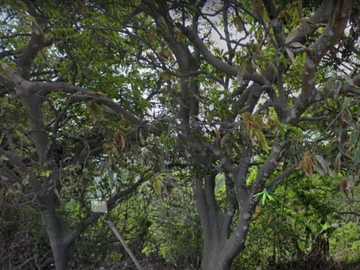3.8 Hectares Tagaytay Overlooking Lot for Sale, Sungay South-East