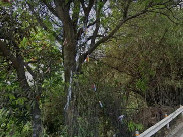 3.8 Hectares Tagaytay Overlooking Lot for Sale, Sungay South-East