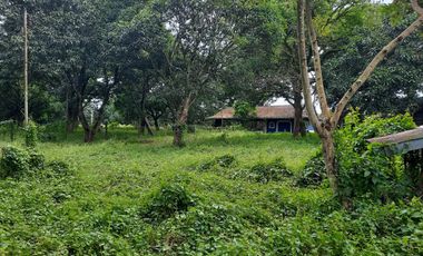 For Sale 32,114 sqm Agricultural Lot at San Jose Del Monte, Bulacan