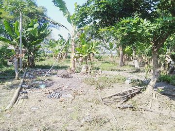 Dijual Rumah + Tanah 1.530 m2 di Nganjuk Dekat RSUD Kertosono