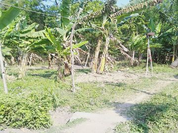 Dijual Rumah + Tanah 1.530 m2 di Nganjuk Dekat RSUD Kertosono
