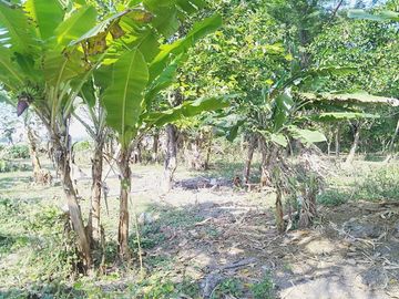 Dijual Rumah + Tanah 1.530 m2 di Nganjuk Dekat RSUD Kertosono