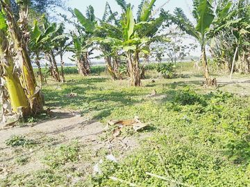 Dijual Rumah + Tanah 1.530 m2 di Nganjuk Dekat RSUD Kertosono
