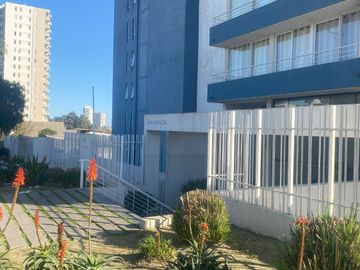 Vendo Departamento Lomas De Montemar Los Abedules 2d/2b